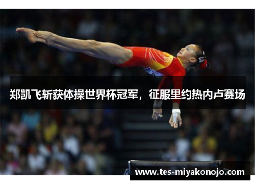 郑凯飞斩获体操世界杯冠军，征服里约热内卢赛场